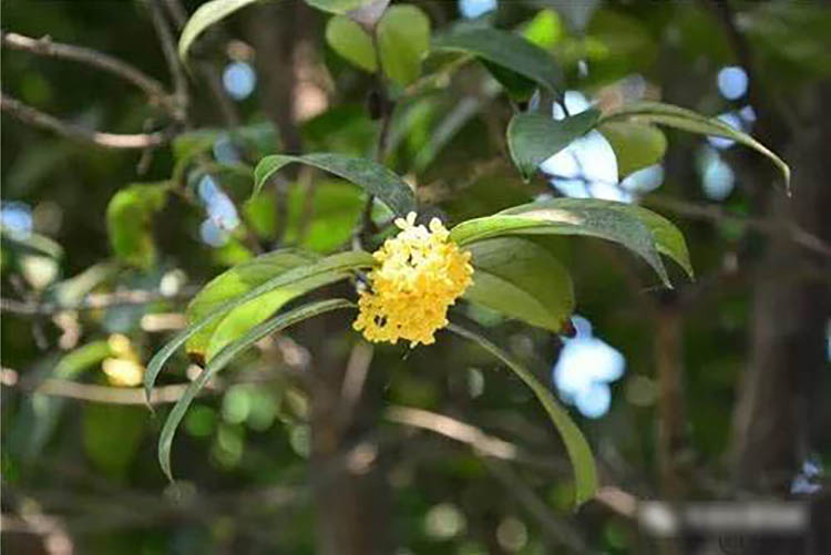 程力風(fēng)采：金秋九月，我在程力等您